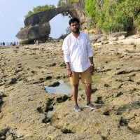 Hardik Chauhan