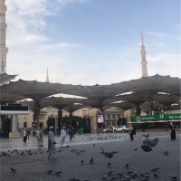 Samia Alharbi