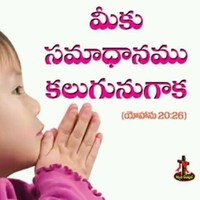 Kondanna Jangala