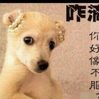 姜浩然
