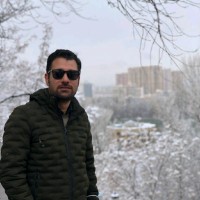 Siavash Salimi Turkamani