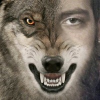 Trippie Wolf