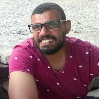 Mohamed Abdel Monem Fadel
