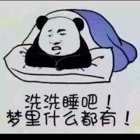 陈壮文