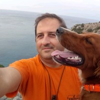 simos papaleonidas