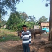 Sugi Anto