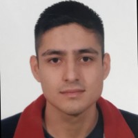 Diego Alejandro Sanchez Fernandez