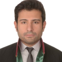 Ercan Arı
