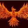 Phoenix undefined