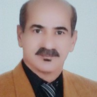 Behzad Karimnejad.f