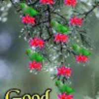 Suguna Girish