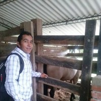 Carlos Uriel Gaona Velasquez