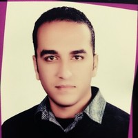 Mohamed Roshdy Allam