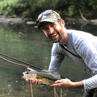 Matt Mullen