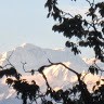 SUBHASISH DHAR