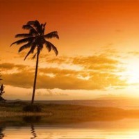 Jorge Salgado Gonzalez