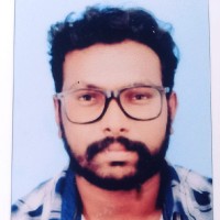 Rojin Roy