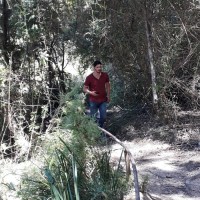 Rodrigo Muñoz Echeverria