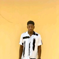 Ogunlesi Pelumi
