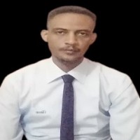Mohammed Abdelazeem Ebraheem