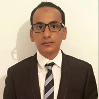 Ramzi Abidi