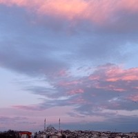 Ayşenur ALTINTAŞ