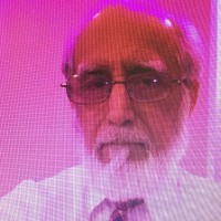 Mian Hamid