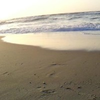 Sea Friend
