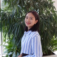 Xiaoying Xie