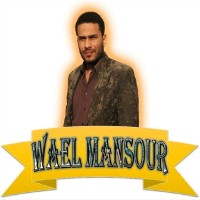Wael Mansour