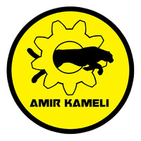 Amir Kameli