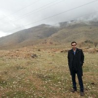 Seyed Mohammad Saberizadeh