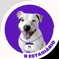 Django O Estagiário