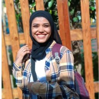 Marwa A Hamed