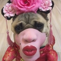 吴丰华