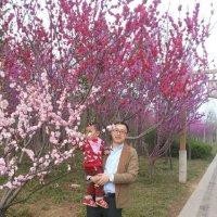 刘要强