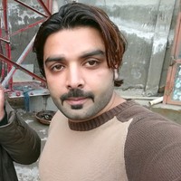 Gull Safdar