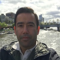 Hamed Hosseini