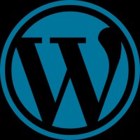 Wordpress Expert