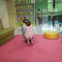 张经国