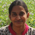 Sailaja Vattikonda