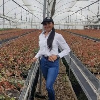 Kristal C.