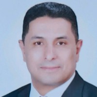 Mohamed Shahin
