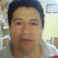 MARIO BORGES VELAZQUEZ