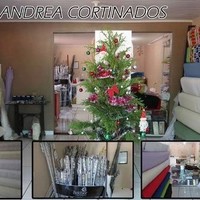 Andrea Bratz Paveglio