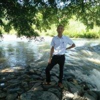 杨俊鹏
