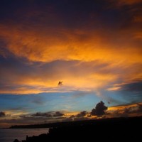 Bali Eye Photography