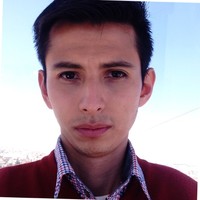 Mauricio Alberto Vallejo Rivas