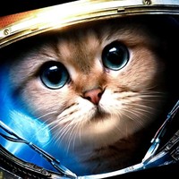 littlefatdoingmybest chicken