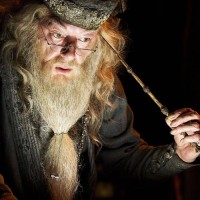 Professor Albus Percival Wulfric Brian Dumbledore
